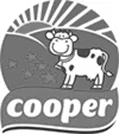 Cooper
